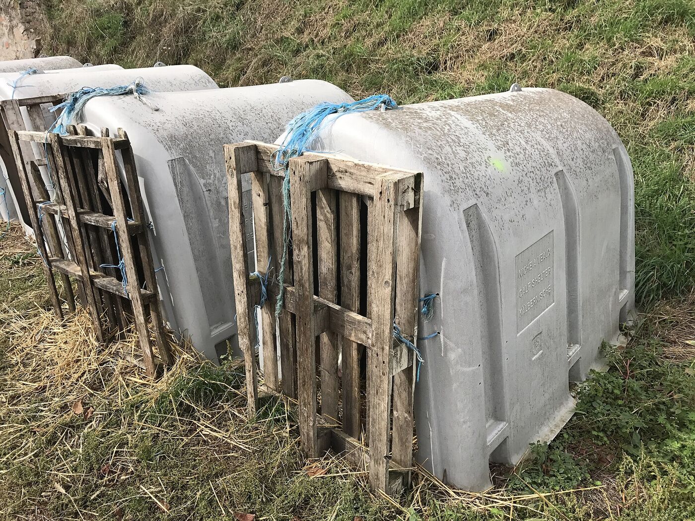 Niches à veaux vides alignées dans l'herbe.